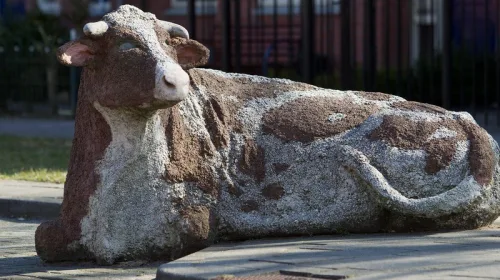 ‘De heilige koe’