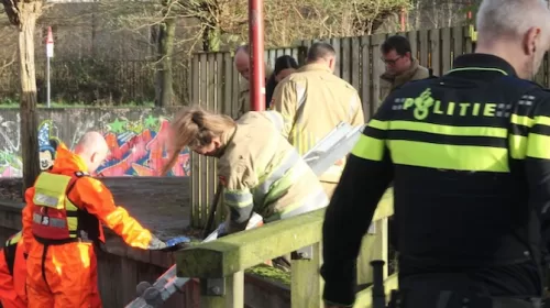 Grote hoeveelheid kentekenplaten gevonden in vijver aan het Merelplein