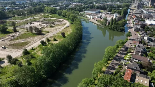 Nieuwe, gezonde bomen in Rijnhuizen langs het Merwedekanaal