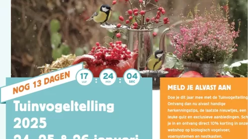 Bereid je voor op Nationale Vogelteldag bij de Bibliotheek Nieuwegein