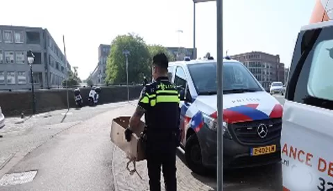 Kat levend gevild en achtergelaten in container op Laagraven in Nieuwegein