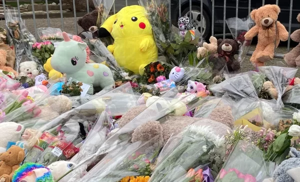 OM eist tbs met dwangverpleging voor Hamzah L. in zaak doodgestoken Sohani (11)