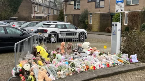 Inspecties hard over zorg rond Hamzah L.: signalen gemist vóór dood van Sohani