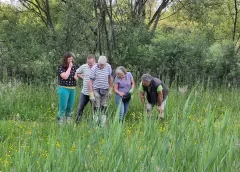 Veel Nieuwegeiners kennen het niet, zondag kun je Dwelfsloot zelf ontdekken