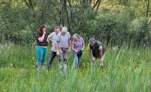 Veel Nieuwegeiners kennen het niet, zondag kun je Dwelfsloot zelf ontdekken