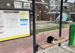 ‘Foto van de week’