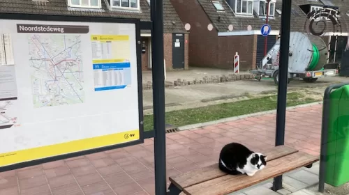 ‘Foto van de week’