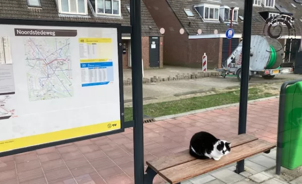 ‘Foto van de week’