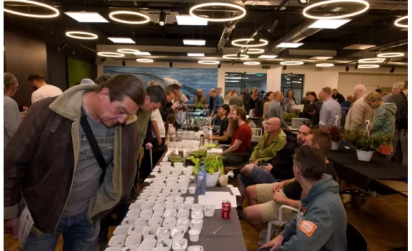 Kikkerbeurs in ’t Veerhuis