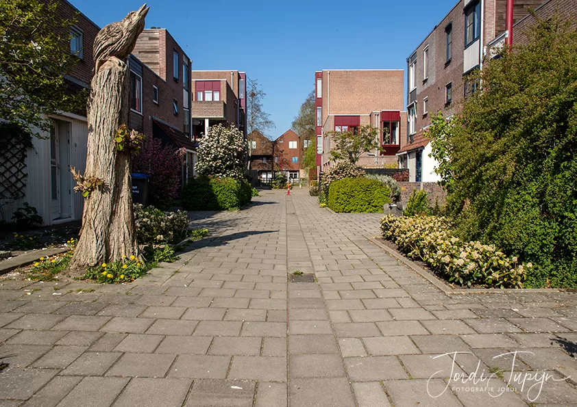 De Ringmus