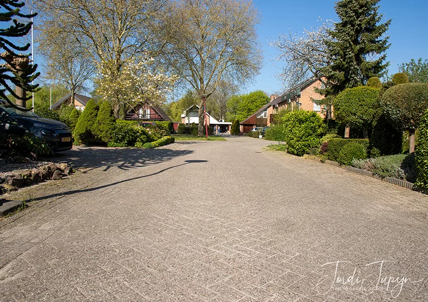 Ringslangweide