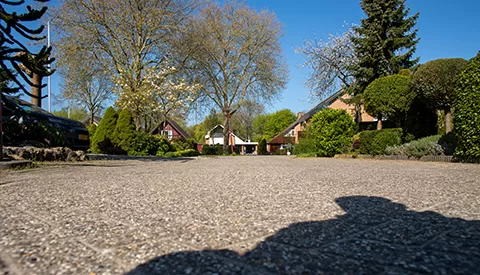 ‘De Ringslangweide’