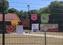 Kadernota 2026: ingrijpen voor een sterk Nieuwegein in de toekomst, dierenweides verdwijnen