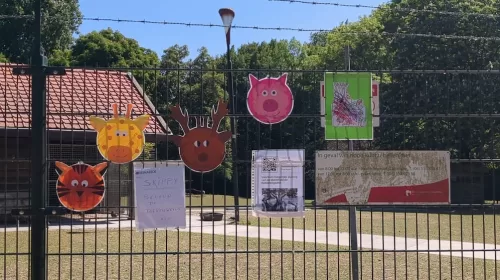 Kadernota 2026: ingrijpen voor een sterk Nieuwegein in de toekomst, dierenweides verdwijnen