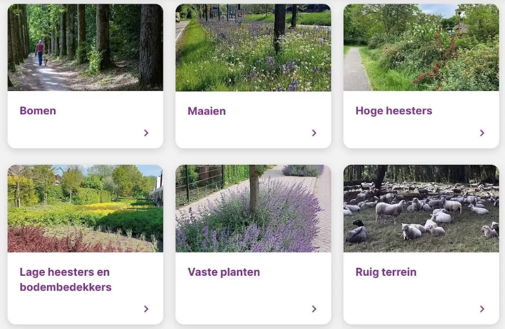 Groen onderhoud