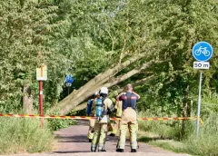 Omgevallen boom veroorzaakt gaslekkage op de Randijk