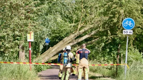 Omgevallen boom veroorzaakt gaslekkage op de Randijk