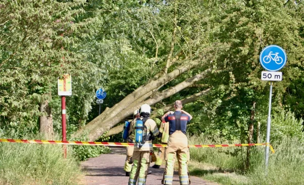 Omgevallen boom veroorzaakt gaslekkage op de Randijk