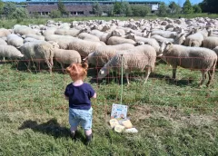 ‘Foto van de week’