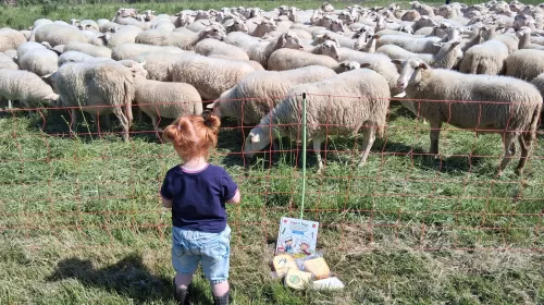 ‘Foto van de week’