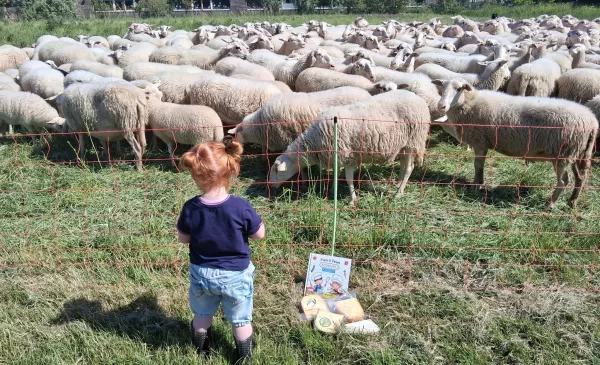 ‘Foto van de week’