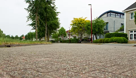 ‘De Roelantshove’