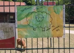 Dierenweides in Nieuwegein weer onder druk en mogelijk wegbezuinigd