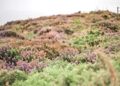Een weekendje herbronnen in de natuur