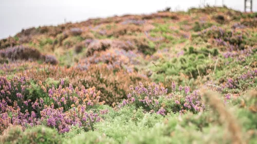 Een weekendje herbronnen in de natuur