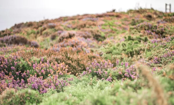 Een weekendje herbronnen in de natuur
