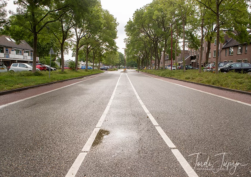 Roerdomplaan