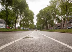‘De Roerdomplaan’
