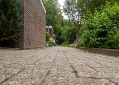 ‘De Rondasburg’