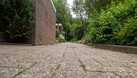 ‘De Rondasburg’