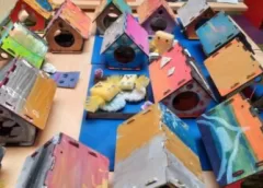 Workshop Vreemde Vogels – Laat je fantasie vliegen!