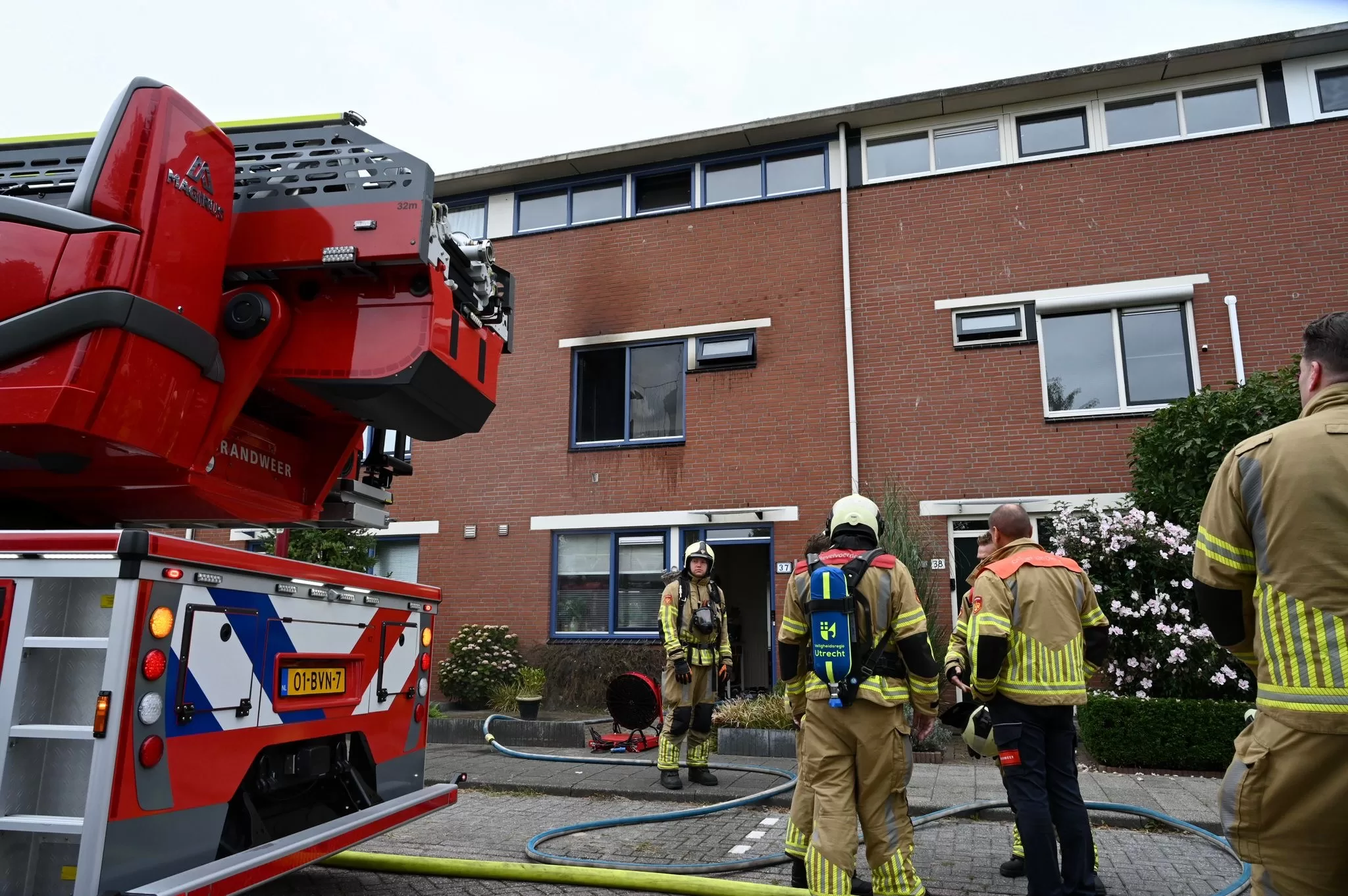 Brand Willem Kloooshove