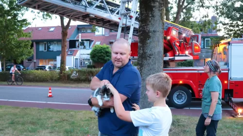 Kat Tigger gered uit boom dankzij airtag en brandweer