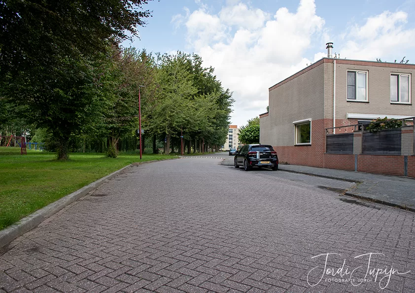 Jacob van Ruisdaelhage