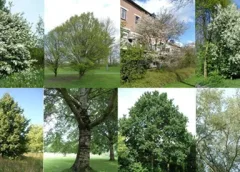 ‘Wat groeit of leeft daar in Nieuwegein’