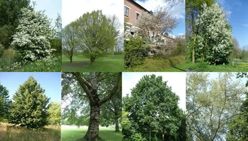 ‘Wat groeit of leeft daar in Nieuwegein’