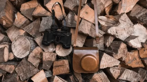 BIOENEX: Een leider in duurzame houtverwarmingsoplossingen