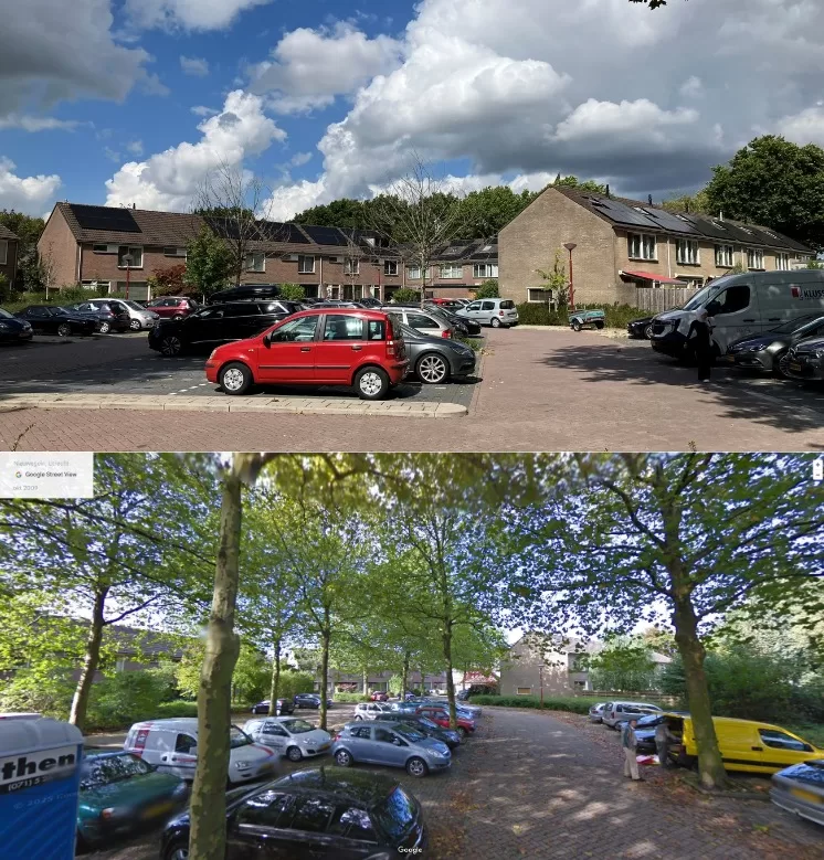 Dasseweide Bert Dijkstra Google