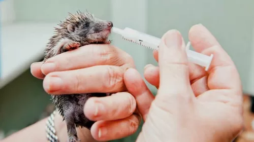 Nieuw op het Natuurkwartier: Uurtje Natuurtje! – elke maand een inspirerende activiteit voor volwassenen