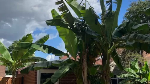 ‘Foto van de week’