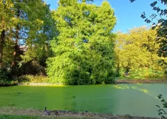 ‘Foto van de week’