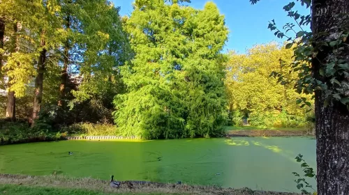 ‘Foto van de week’