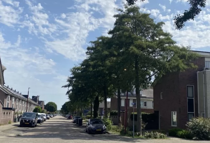Bomen in de Guido Gezellehove