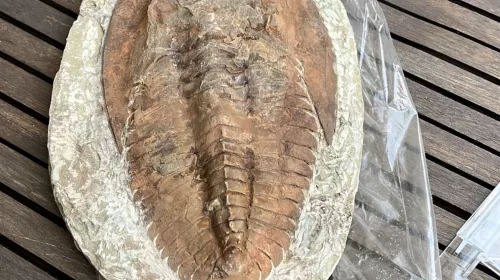 Weekend van de Wetenschap in Nieuwegein: ontdekken, speuren en experimenteren