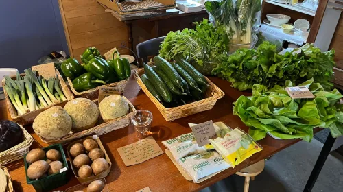 Verse spinazie, korte keten – Fort Vreeswijk zet in op puur eten