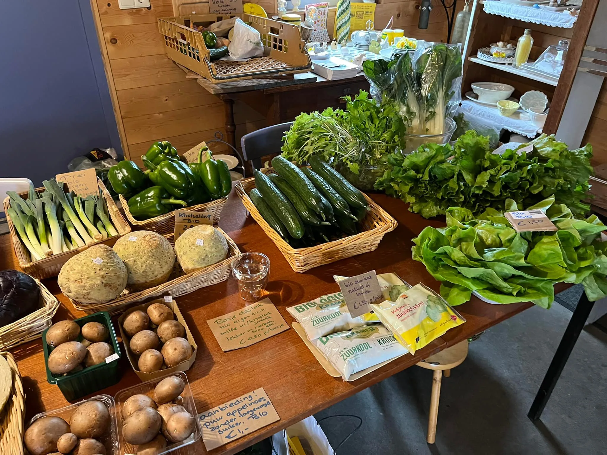 Brassica in Schalkwijk